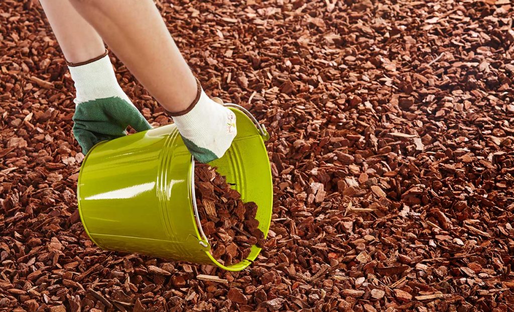 32+ Mulch Garten, Über bodenschutz im garten denkt kaum jemand nach.